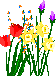 Design CAD Web Site